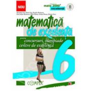 Matematica de excelenta (Mate 2000). Pentru concursuri, olimpiade si centre de excelenta clasa a VI-a