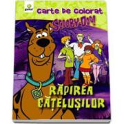Scooby-Doo. Rapirea catelusilor (carte de colorat)