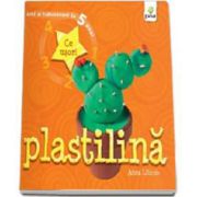 Plastilina - Arta si indemanare in 5 pasi