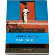 Claudiu Craciun, Baricadele