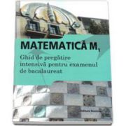 Matematica M1, bacalaureat 2015. Ghid de pregatire intensiva