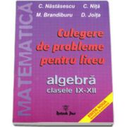 C. Nastasescu si C. Nita, Culegere de probleme pentru liceu. Algebra clasele IX-XII