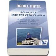 Daniel Mitel - Acum, aici este tot ceea ce avem. 21 De meditatii stravechi pentru a te trezi la identitatea ta adevarata