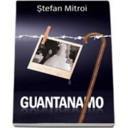 Stefan Mitroi, Guantanamo