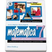 Matematica 2000 Consolidare 2014-2015 algebra, geometrie clasa a VII-a partea a II-a, Semestrul al II-lea (Anton Negrila)