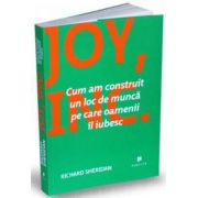 Joy, Inc. - Cum am construit un loc de munca pe care oamenii il iubesc (Richard Sheridan)