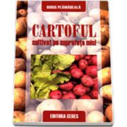 Cartoful cultivat pe suprafete mici (Boris Plamadeala)