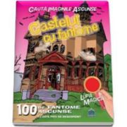 Castelul cu fantome - Cauta imaginile ascunse