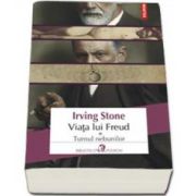 Irving Stone, Viata lui Freud volumul I - Turnul nebunilor