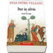 Ioan Petru Culianu, Iter in silvis. Volumul II: Gnoza si magie