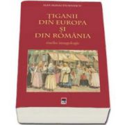 Alex Mihai Stoenescu, Tiganii din Europa si din Romania. Studiu imagologic