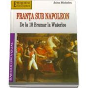 Jules Michelet, Franta sub Napoleon. De la 18 Brumar la Waterloo