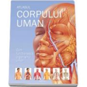 Atlasul corpului uman. Cum functioneaza organismul uman
