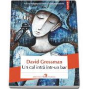 David Grossman - Un cal intra intr-un bar - Traducere din limba ebraica de Gheorghe Miletineanu