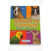 Animale de companie - Primele mele carti cu poze