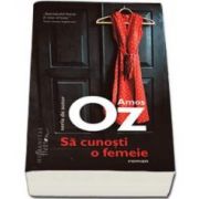 Amos Oz, Sa cunosti o femeie (Roman)