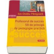 Ion Ovidiu Panisoara, Profesorul de succes. 59 de principii de pedagogie practica. Editia a II-a