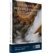 Viktor Schauberger, Inteligenta si dinamica energiei. Valorificarea fortelor naturale pentru obtinerea energiei gratuite