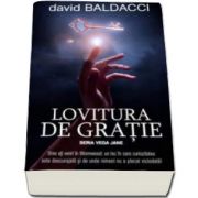 David Baldacci, Lovitura de gratie