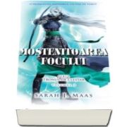 Sarah Maas, Mostenitoarea focului. Seria Tronul de clestar. Volumul III