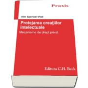 Alin Speriusi Vlad, Protejarea creatiilor intelectuale. Mecanisme de drept privat