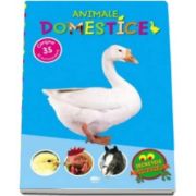 Animale domestice. Secretele animalelor - Varsta recomandata 4-7 ani