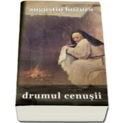 Augustin Buzura, Drumul cenusii