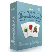 Vocabular - Lumea plantelor - Montessori