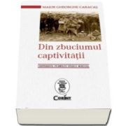 Maior Gheorghe Caracas, Din zbuciumul captivitatii. Centenarul Primului Razboi Mondial - De la 3 noiembrie 1916 pana la 30 iunie 1918