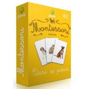 Montessori, Vocabular - Caini si pisici