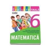 Evaluare finala la Matematica pentru clasa a VI-a (Viorica Bujor)