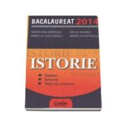 Istorie. Bacalaureat 2014 - Sinteze, scheme, teste de evaluare