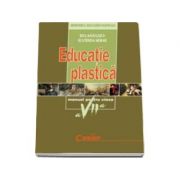 EDUCATIE PLASTICA manual pentru clasa a VII-a (Rita Badulescu)