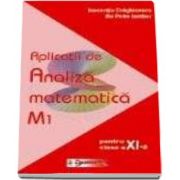 Aplicatii de analiza matematica M1 pentru clasa a XI-a - Ilie Petre Iambor