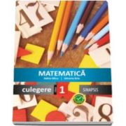 Matematica, culegere pentru clasa I - Actualizata programei scolare la 2016