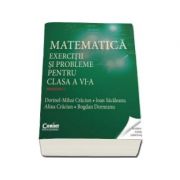 Dorinel Mihai Craciun, Matematica - Exercitii si probleme pentru clasa a VI-a semestrul I