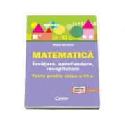 Matematica - invatare, aprofundare, recapitulare. Teste pentru clasa a VI-a