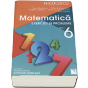 Rozica Stefan - Matematica. Exercitii si probleme pentru clasa a VI-a - Editie 2016