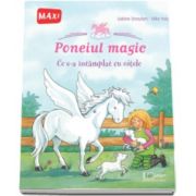 Poneiul magic - Ce s-a intamplat cu oitele (Sabine Streufert)