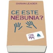 Darian Leader, Ce este nebunia