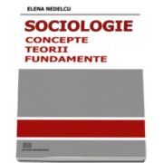 Sociologie: Concepte, norme, fundamente (Editia I)