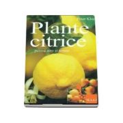 Peter Klock, Plante citrice