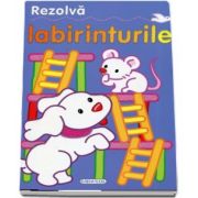 Rezolva labirinturile