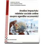 Camelia Delcea, Analiza impactului retelelor sociale online asupra agentilor economici