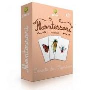 Insecte din Romania - Montessori vocabular de Maria Montessori