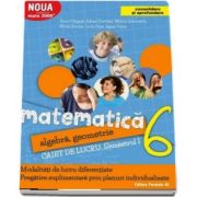 Sorin Peligrad, Matematica 2000. Algebra, geometrie. Caiet de lucru, pentru clasa a VI-a. Semestrul I (Consolidare si aprofundare)