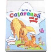 Scrie si coloreaza Cai si ponei - Exerseaza scrierea! (Bleu)
