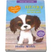 Henry, catelusul de pe plaja de Holly Webb