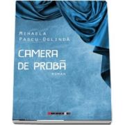 Camera de proba - Mihaela Pascu - Oglinda