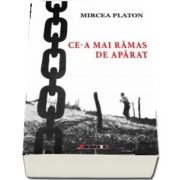 Ce-a mai ramas de aparat de Mircea Platon